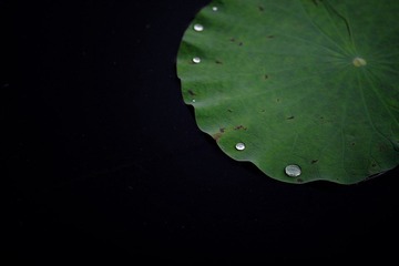 DSC_8876.jpg