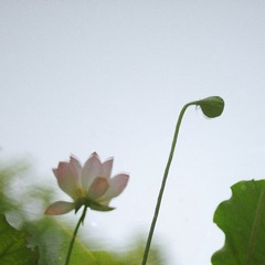 DSC_8882.jpg