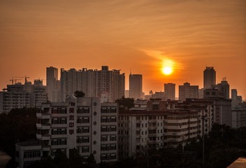 DSC_7954.jpg