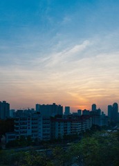 DSC_7963.jpg