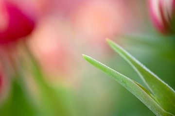 DSC_8170.jpg
