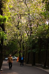 DSC_8744.jpg