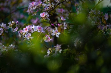 DSC_8761.jpg