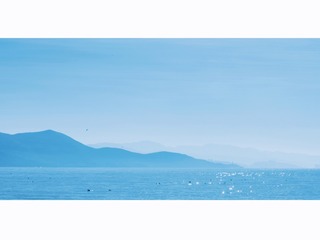 A2A5639F-7023-4D97-975E-B67A93F69EA6/L0/001