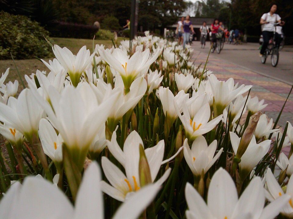 IMAGE_030<br />
