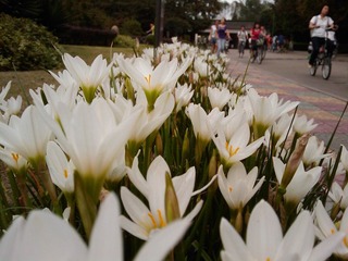 IMAGE_030