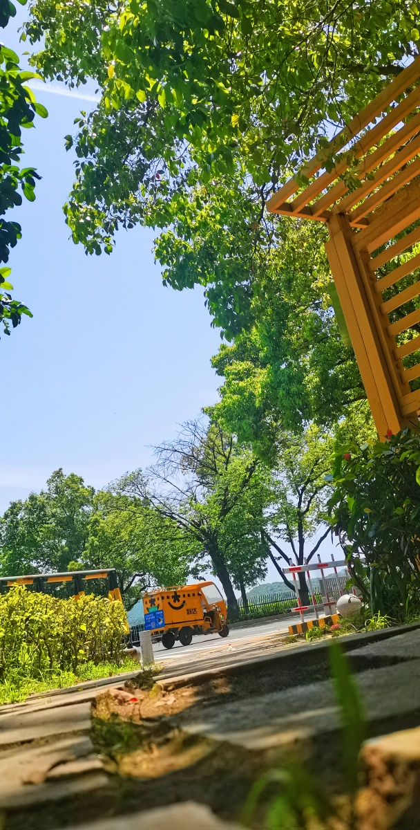 阳光明媚的长沙街边公园