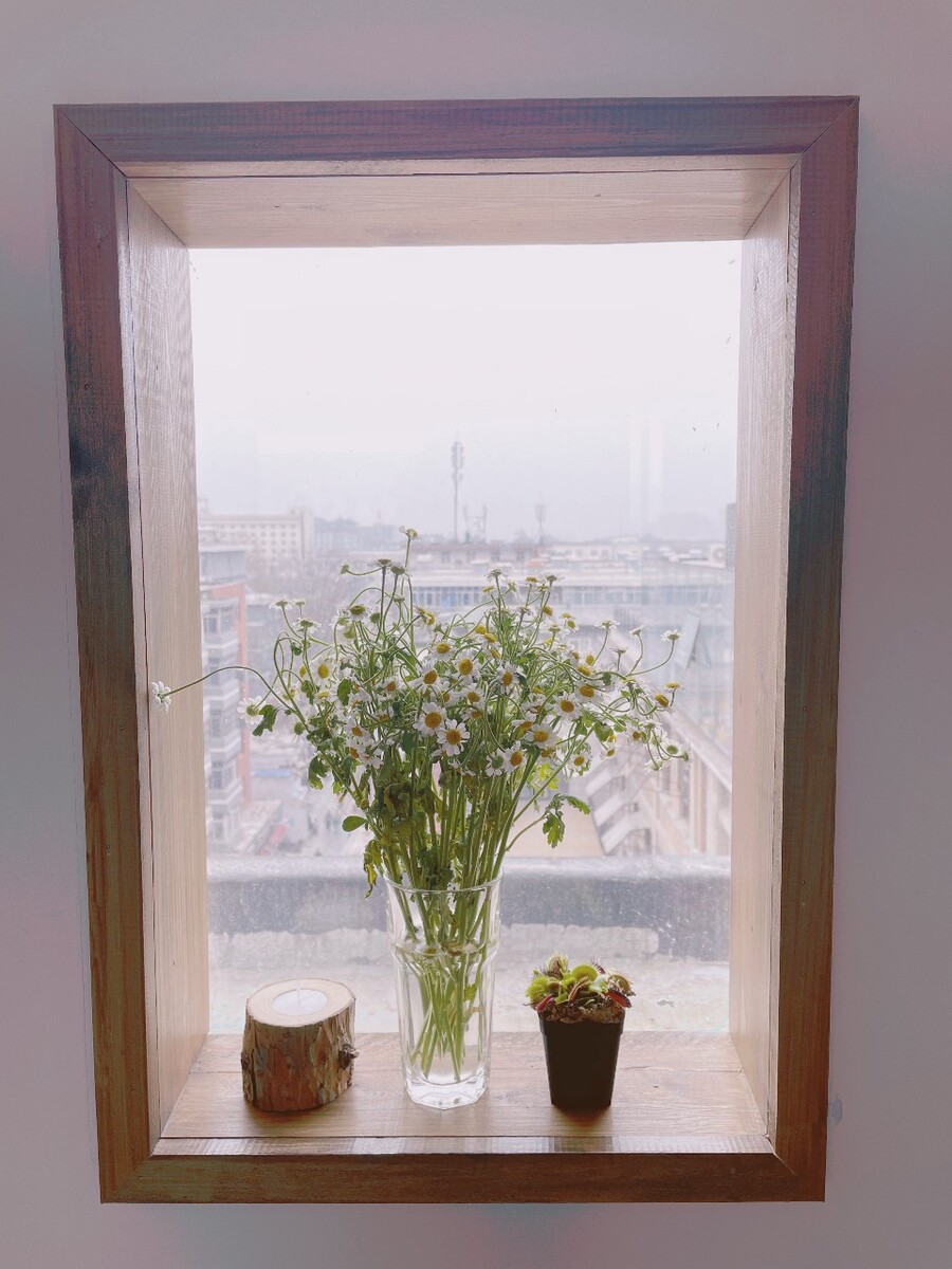 窗外风景窗内花