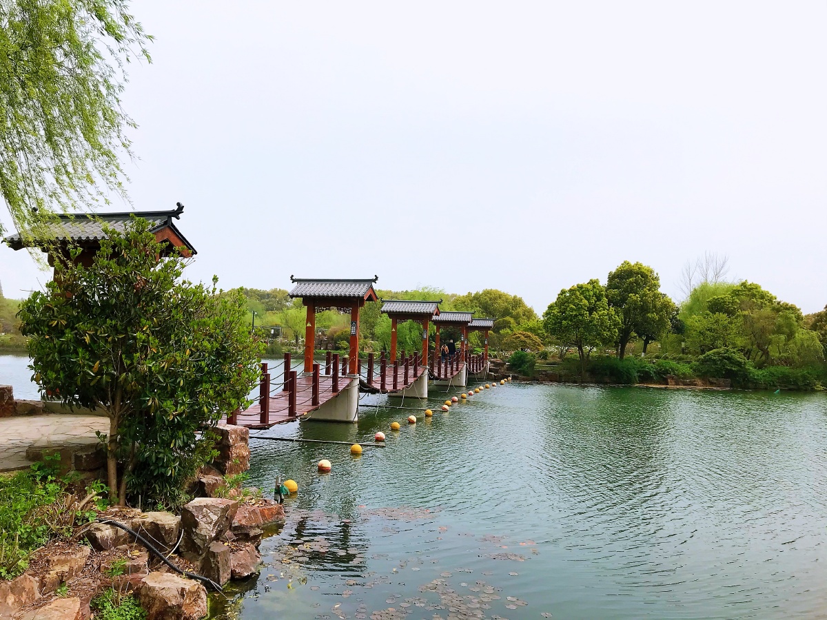 苏州常熟尚湖牡丹园是中国四大牡丹观赏基地之一为牡丹园中的江南之最