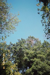 AE700B7E-CECE-4FFD-8BB3-D5C1C780B8A2/L0/001