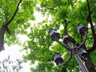 DSCF0575.JPG