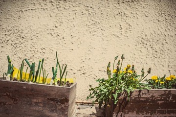 DSC_3756.jpg