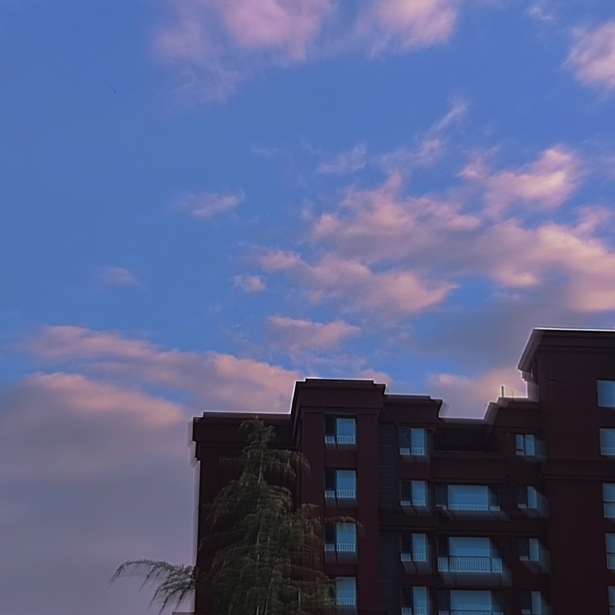 夏天的晚风和你一样来的很迟