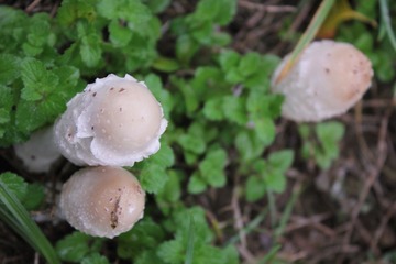 IMG_1030.JPG
