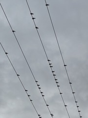 1000043674