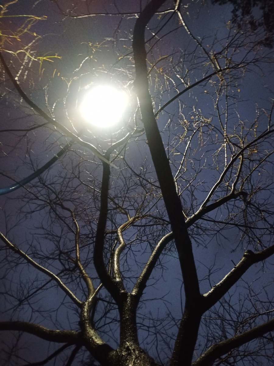 路灯似月光 - 一个人的徒步鞋 - 图虫