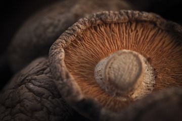 2454706