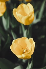 D05DD3C8-3EDF-4475-A130-43A78B80F171/L0/001