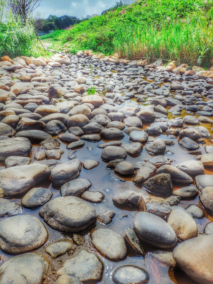 鹅卵石#浅浅溪流#公园#花草#勒杜鹃谷#深圳 - 晓事 - 图虫