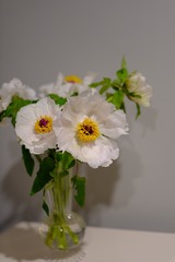 F6C29A25-03BF-4E62-AA52-B7DBC651CE79/L0/001