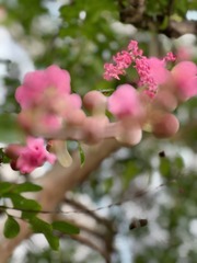 F15DD062-6622-4DCB-94B8-10CE4EFB648D/L0/001