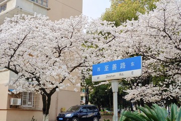 83D787BD-6D3B-4B9D-9E56-5D318AFC6AF5/L0/001