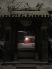 飘雪的静美