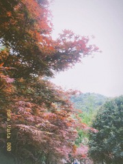 1D0E6AB8-6C39-48DE-9C03-680E689B8BEA/L0/001