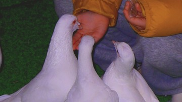 39188