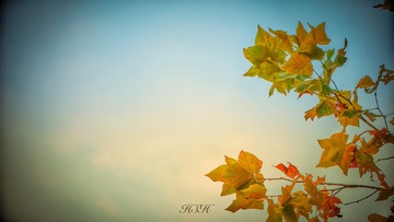 A8F271BB-AF91-485C-BC4B-074C8EE9CFA2/L0/001