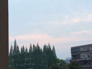 D3D6271D-8EF3-4C5A-8889-35B6BAF47DB2/L0/001
