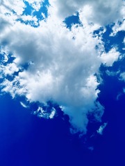 88399B62-1A7F-46DB-8FCA-0228A866C627/L0/001