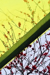 D9C62149-0878-45A9-85D8-D21C3737DA7B/L0/001
