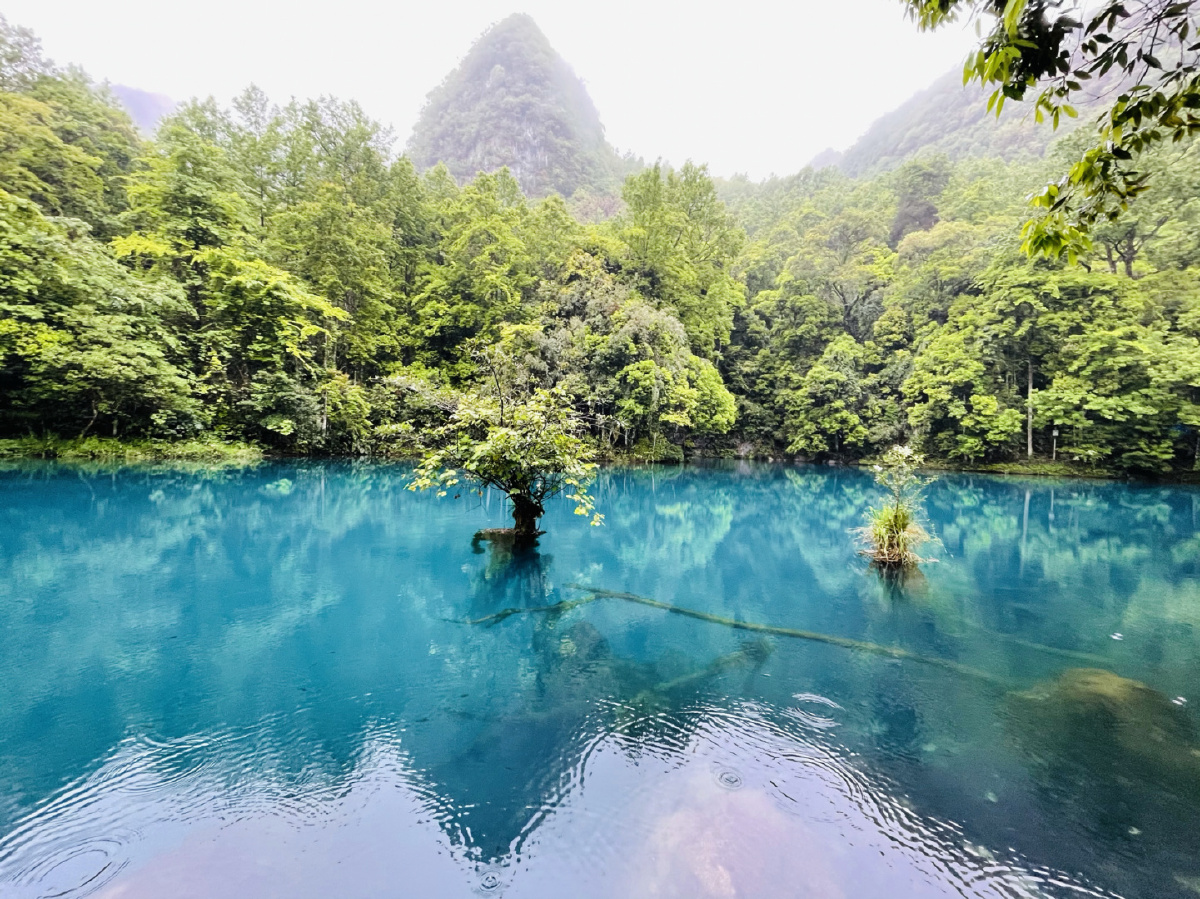 贵州清澈见底的河水