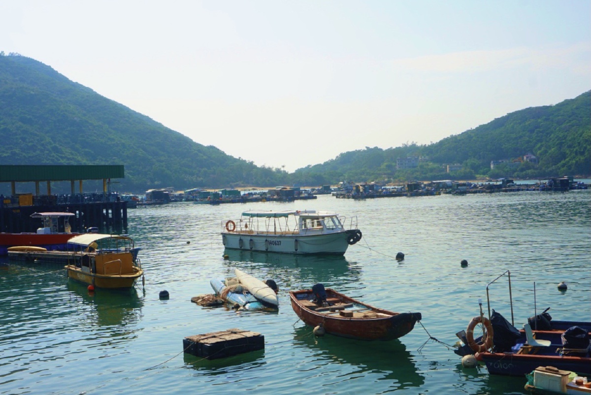 南丫岛的码头海水很是清澈