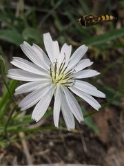53