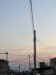 DF8B674F-903E-4BB0-A34C-B973081E7FBC/L0/001