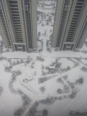 2683962