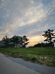 1186826