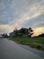 1186827