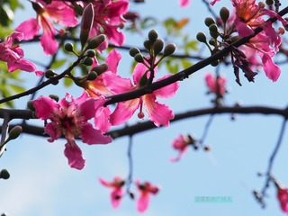 41F9BC87-1ADF-4C48-BB78-132F60BEC016/L0/001