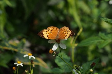 385D3540-9352-49AA-82CF-D8E365DB4545/L0/001