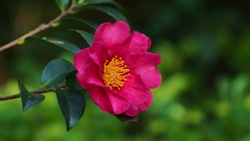 175398A7-BCD4-4943-B808-D42DC255A284/L0/001