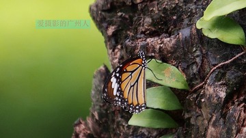 404D5375-4F64-4296-A64E-D04ED08C5400/L0/001