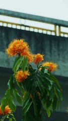 6733298C-8F2E-45EB-9539-8D11C9852DF0/L0/001