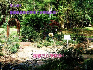 D7575E12-ADEA-4B6C-8A8B-6C3B9CD82623/L0/001