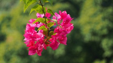 571F33DB-3900-4298-9DBB-64D50589FB69/L0/001