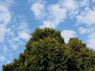 A4776404-4F40-49ED-8B70-28A2AFAACDA9/L0/001