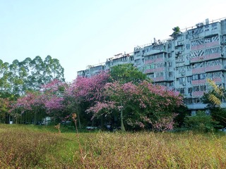 75D9F9AD-C8E5-4FBF-8E63-DD0510553E69/L0/001