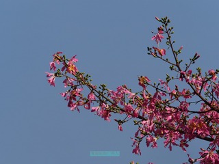B470200B-11AF-42B4-AAB4-F57858E3A2F1/L0/001